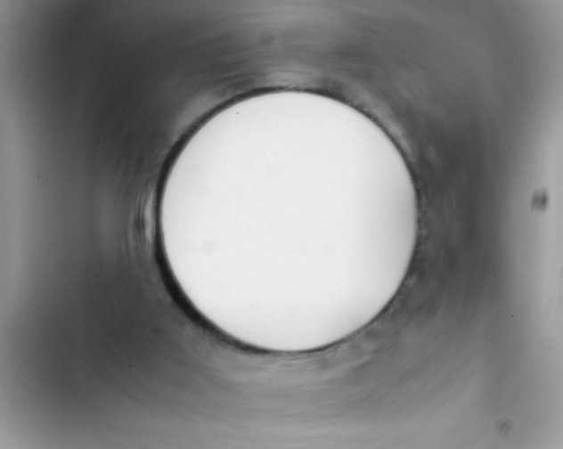 X0000103310011200809191928