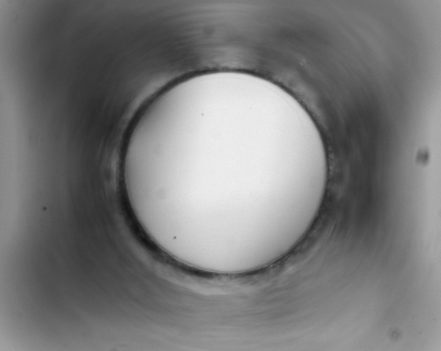 X0000103310012200809191928