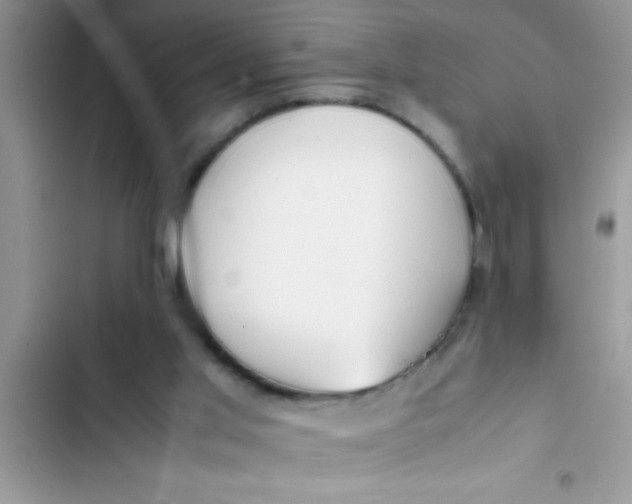 X0000103310013200809191928