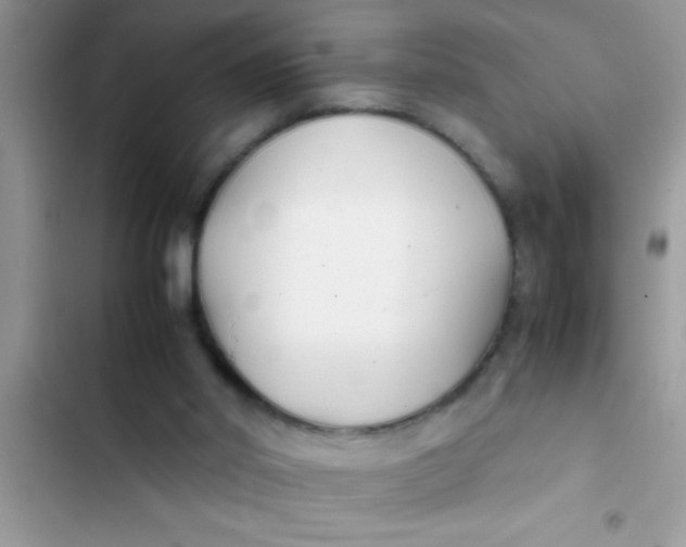 X0000103310014200809191928