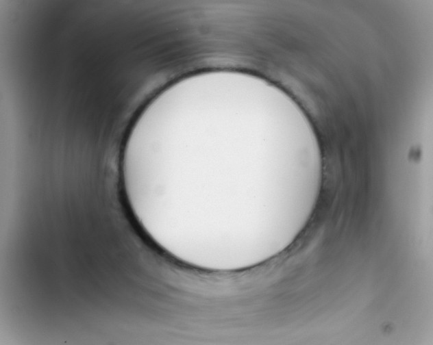 X0000103310015200809191928