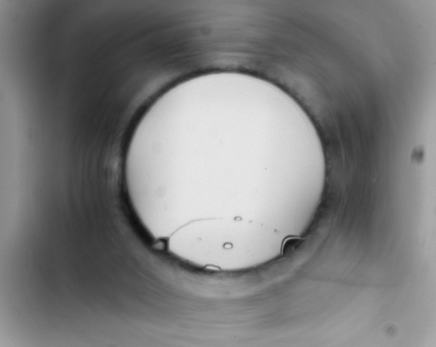 X0000103310016200809191928