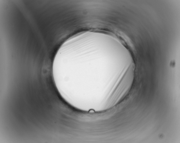 X0000103310017200809191928