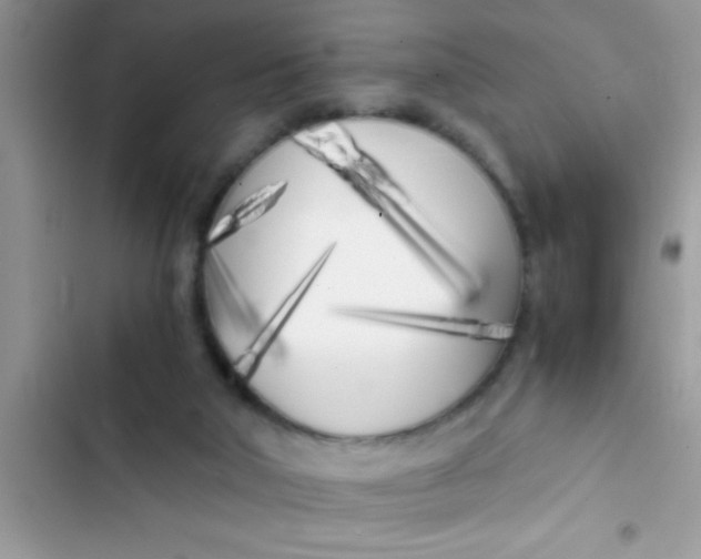 X0000103310018200809191928