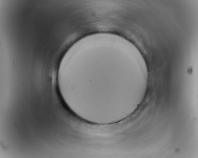 X0000103310019200809191928