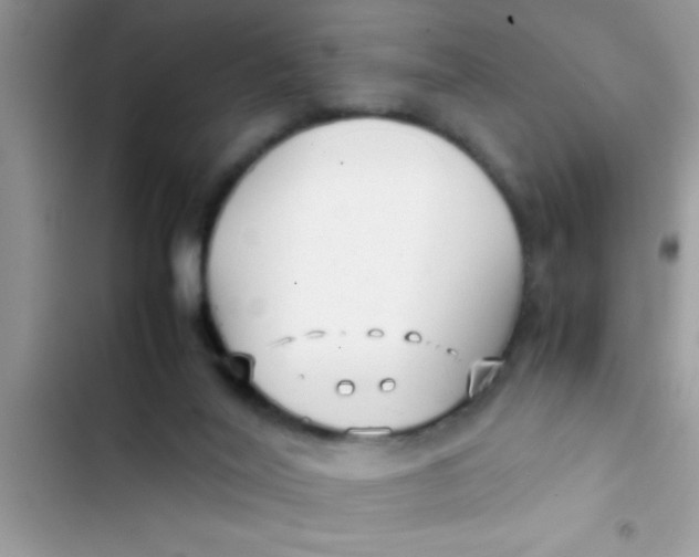 X0000103310020200809191928