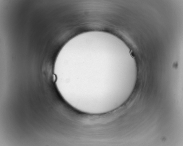 X0000103310021200809191928