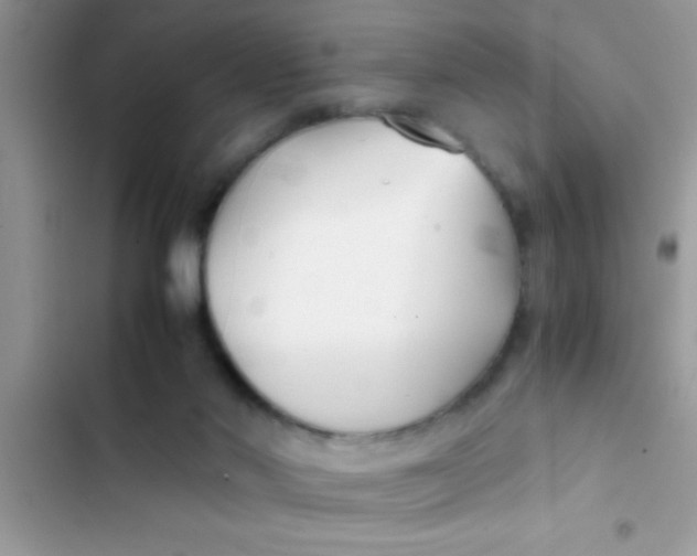 X0000103310022200809191928