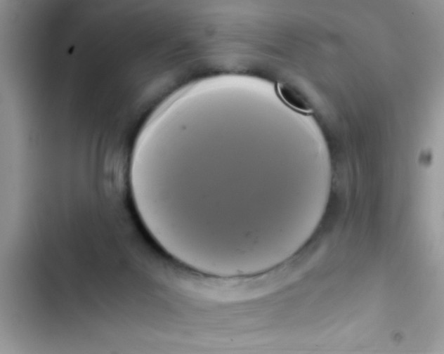 X0000103310023200809191928