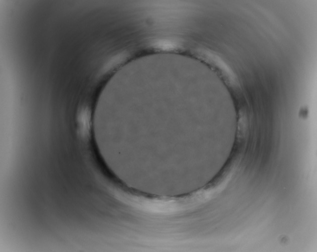 X0000103310024200809191928