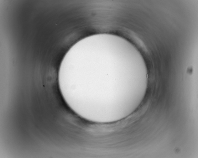 X0000103310025200809191928