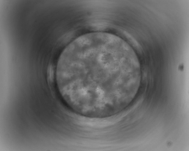 X0000103310026200809191928