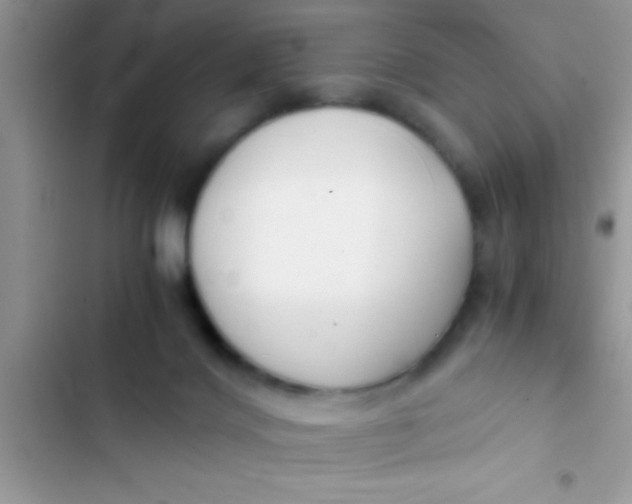 X0000103310028200809191928