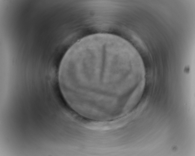 X0000103310029200809191928