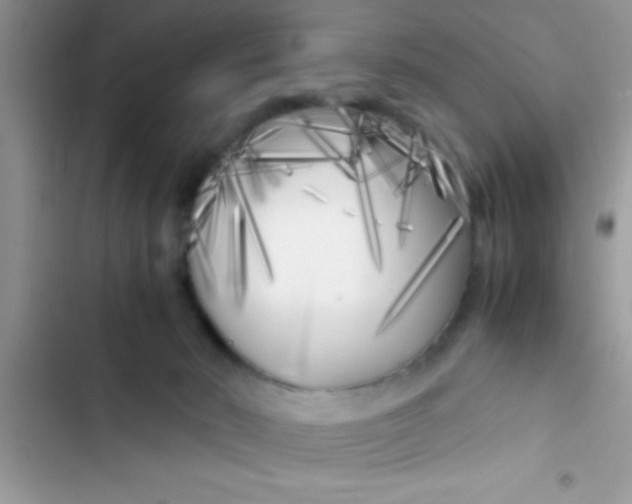 X0000103310030200809191928