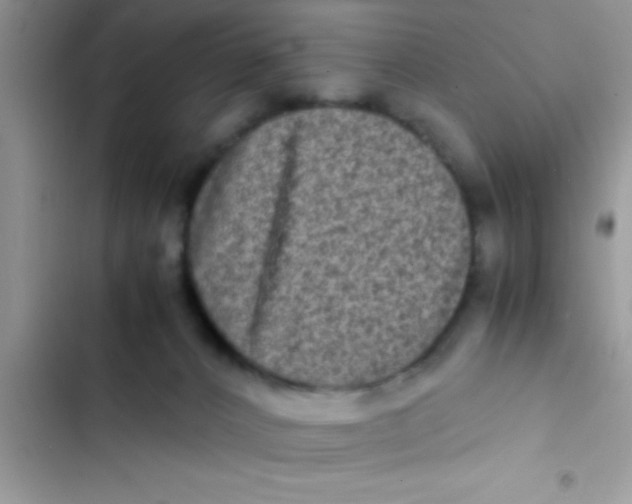 X0000103310032200809191928