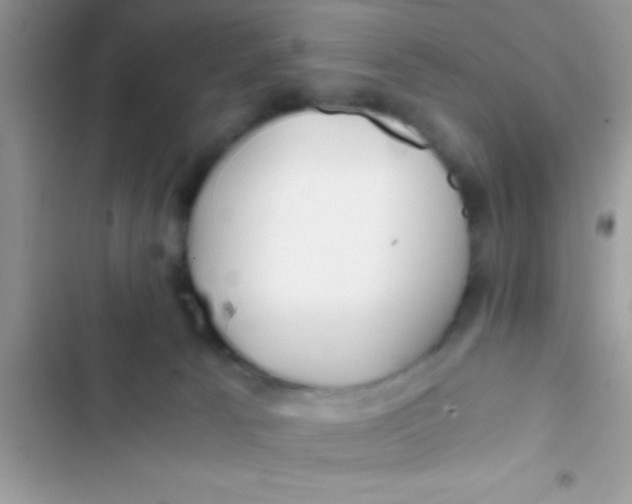 X0000103310033200809191928