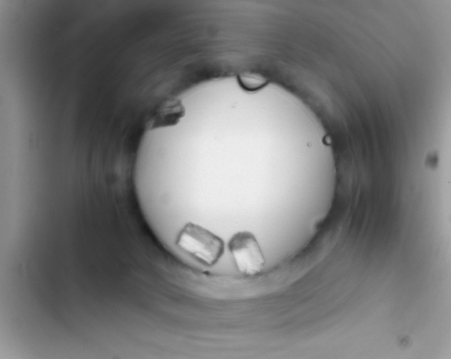 X0000103310034200809191928