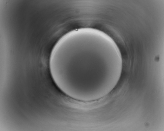 X0000103310035200809191928