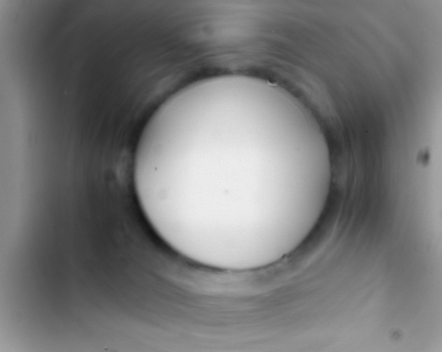 X0000103310036200809191928