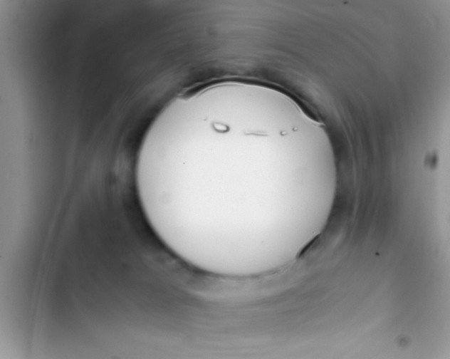 X0000103310037200809191928