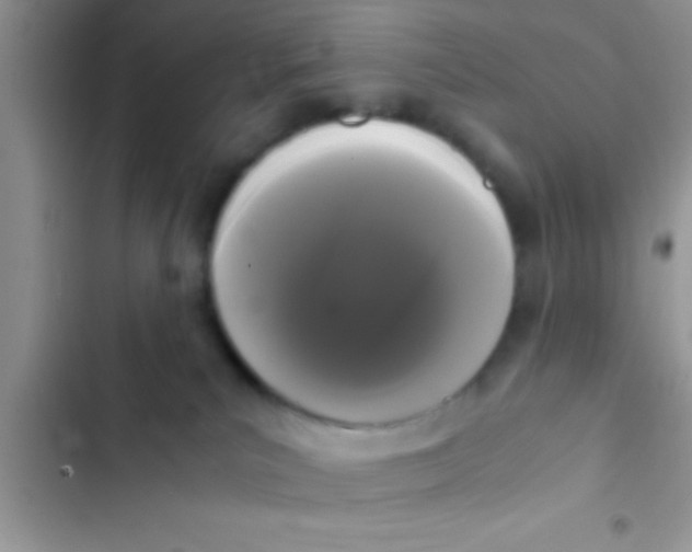 X0000103310039200809191928