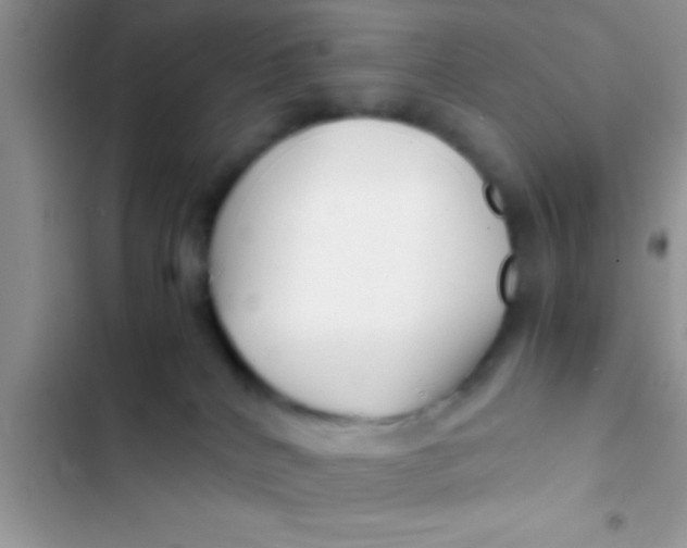 X0000103310040200809191928