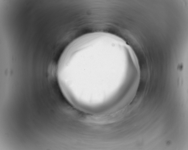 X0000103310041200809191928