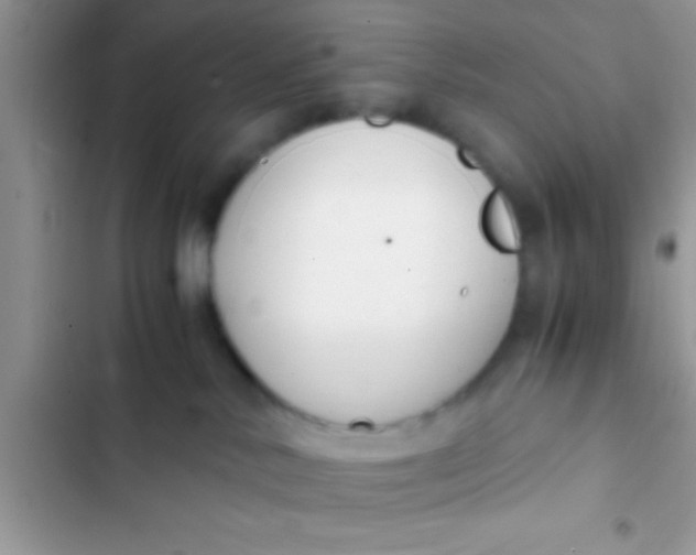 X0000103310042200809191928