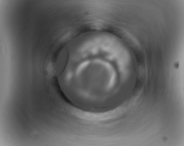 X0000103310043200809191928