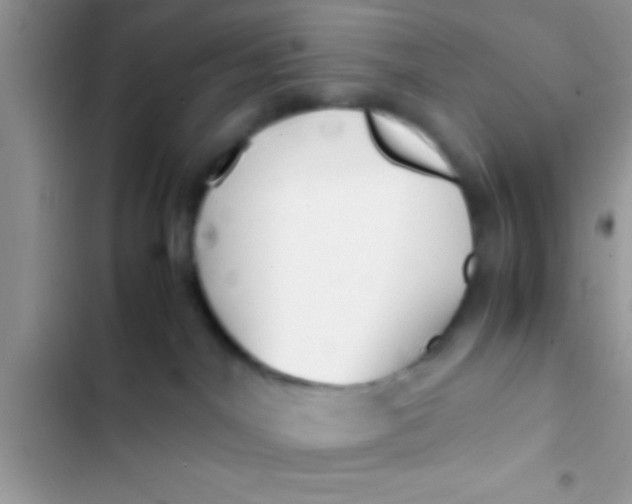 X0000103310044200809191928