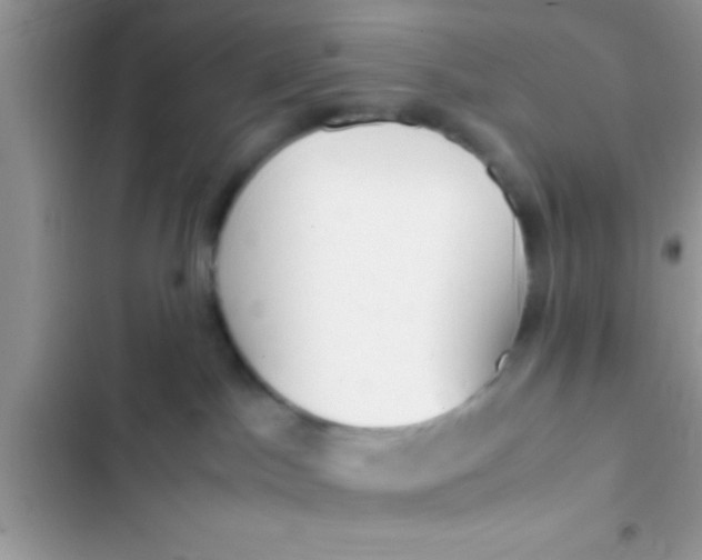 X0000103310045200809191928