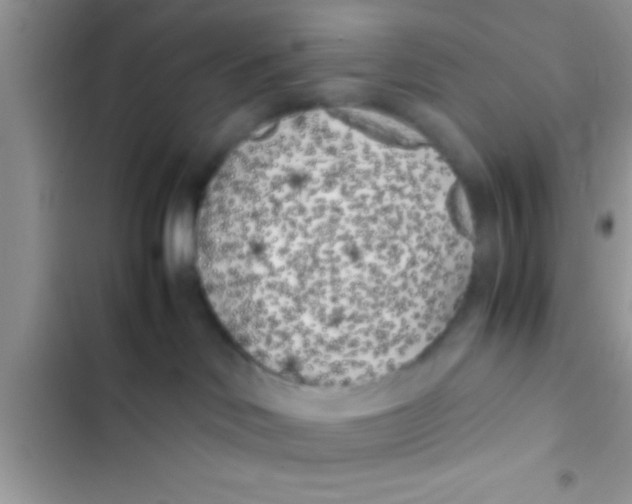 X0000103310046200809191928