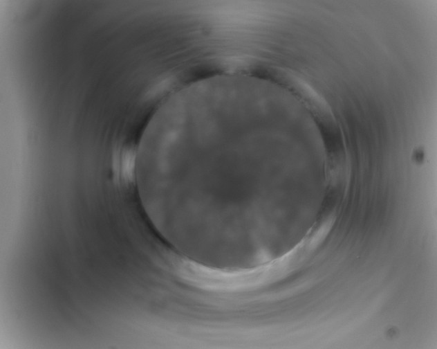 X0000103310047200809191928