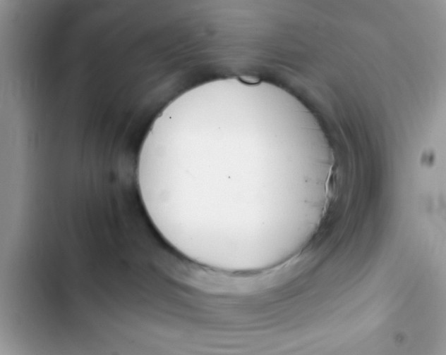 X0000103310048200809191928