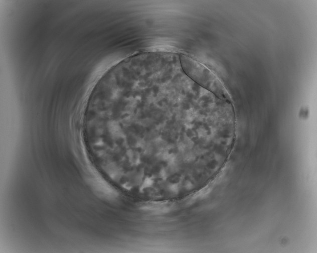 X0000103310049200809191927