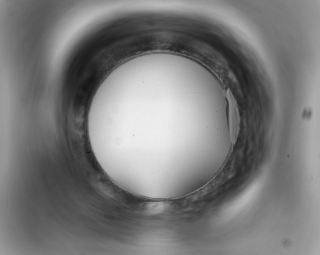 X0000103310050200809191927