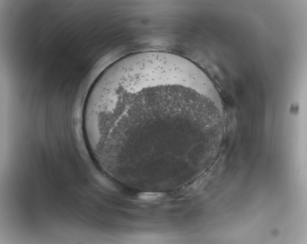 X0000103310051200809191927