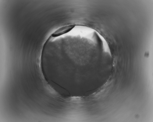 X0000103310052200809191927