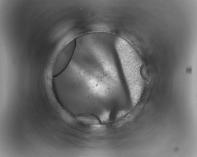 X0000103310053200809191927