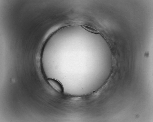 X0000103310054200809191927