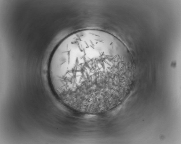 X0000103310055200809191927