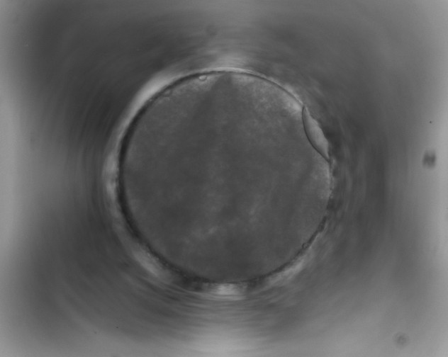 X0000103310056200809191927