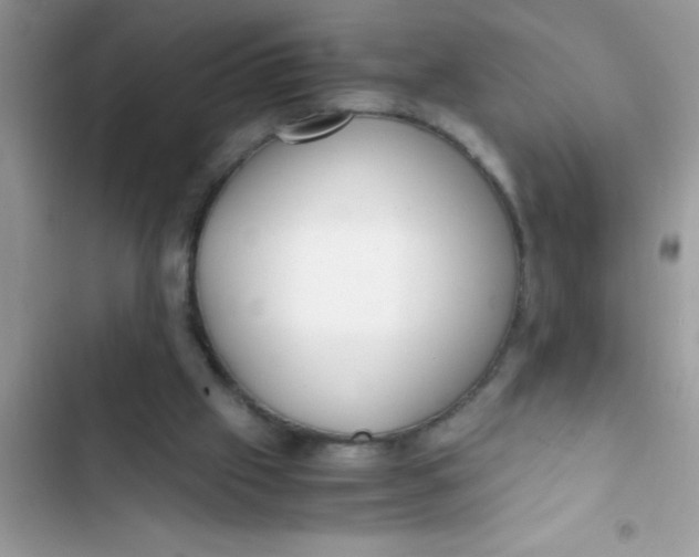 X0000103310057200809191927