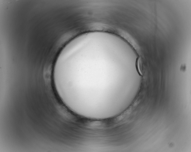 X0000103310058200809191927