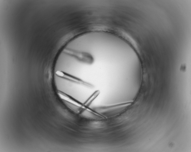 X0000103310059200809191927