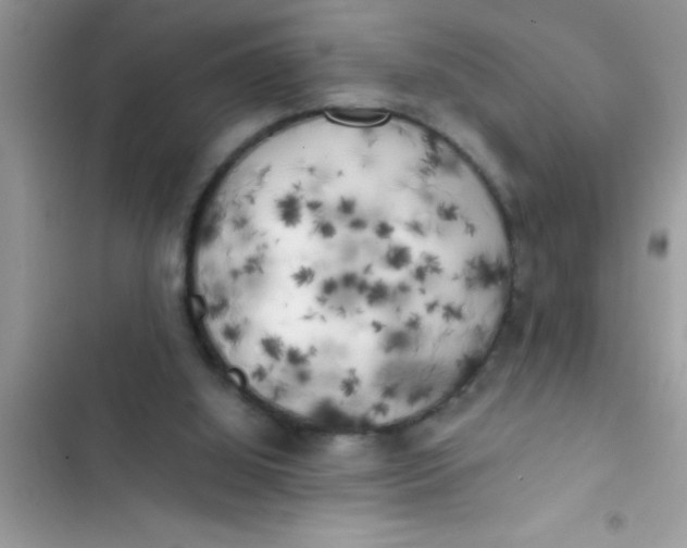 X0000103310060200809191927