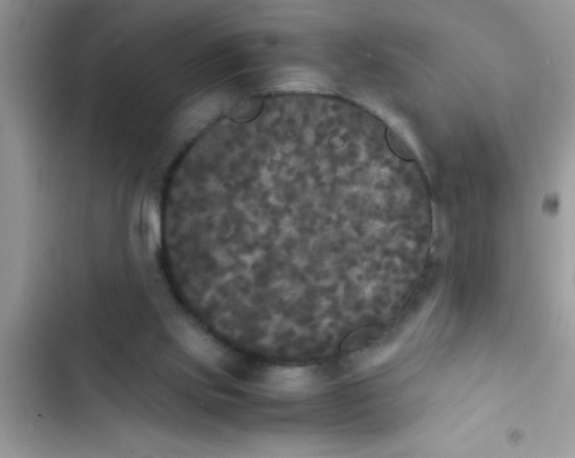 X0000103310061200809191927