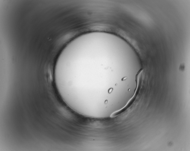 X0000103310062200809191927