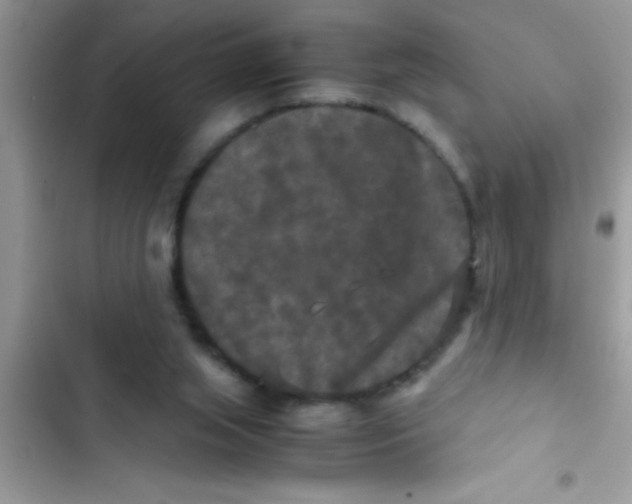 X0000103310063200809191927